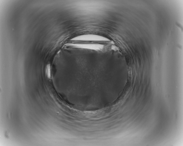 X0000095540046200712281554