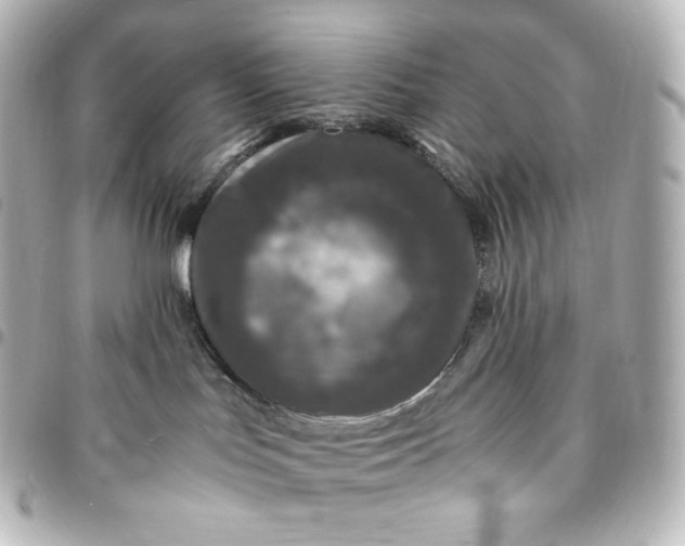 X0000095540047200712281554