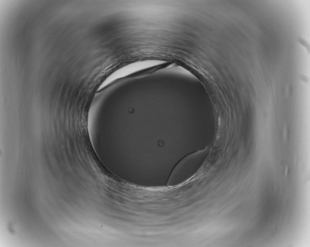 X0000095540048200712281554