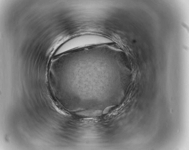 X0000095540050200712281553