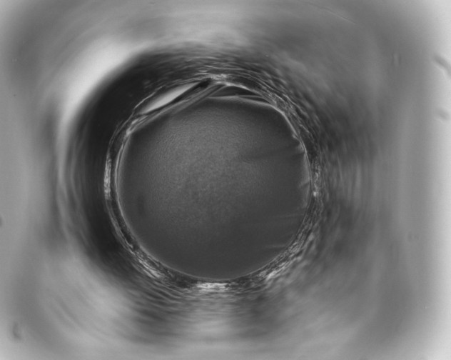 X0000095540052200712281553