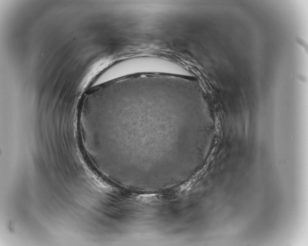 X0000095540054200712281553