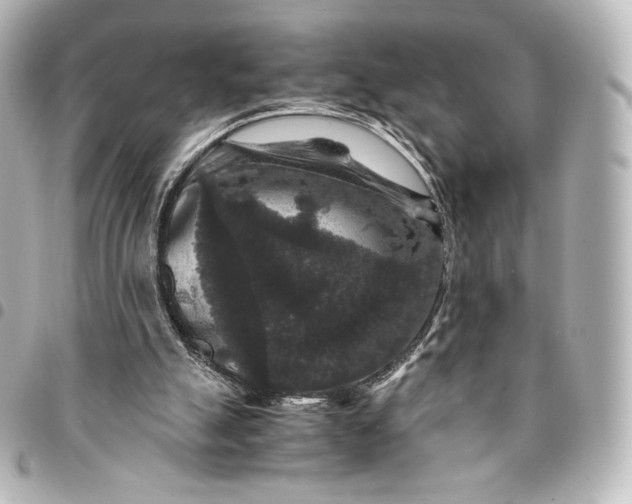 X0000095540055200712281553