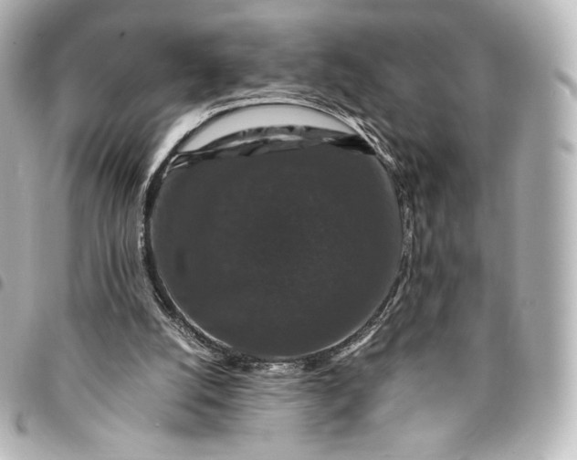 X0000095540056200712281553