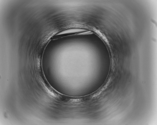 X0000095540057200712281553