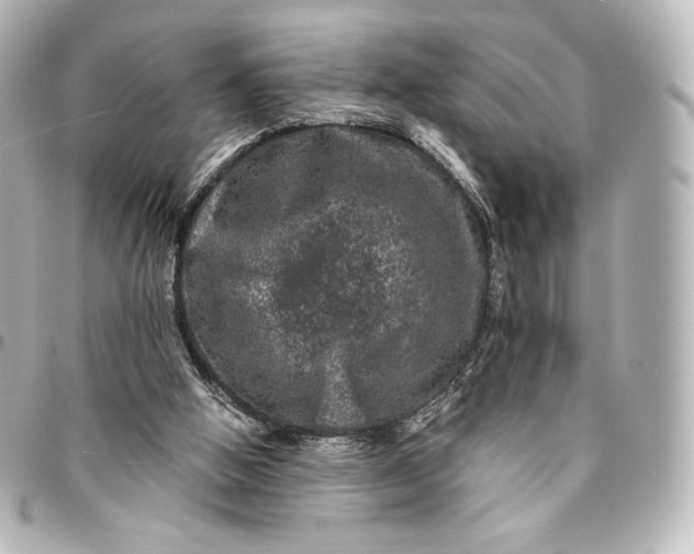 X0000095540058200712281553