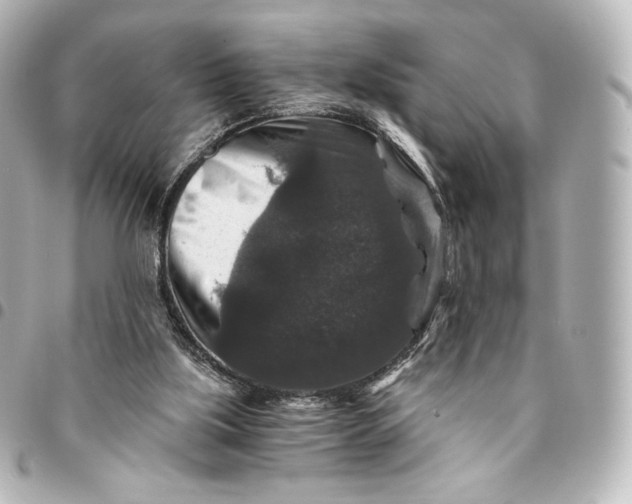 X0000095540059200712281553