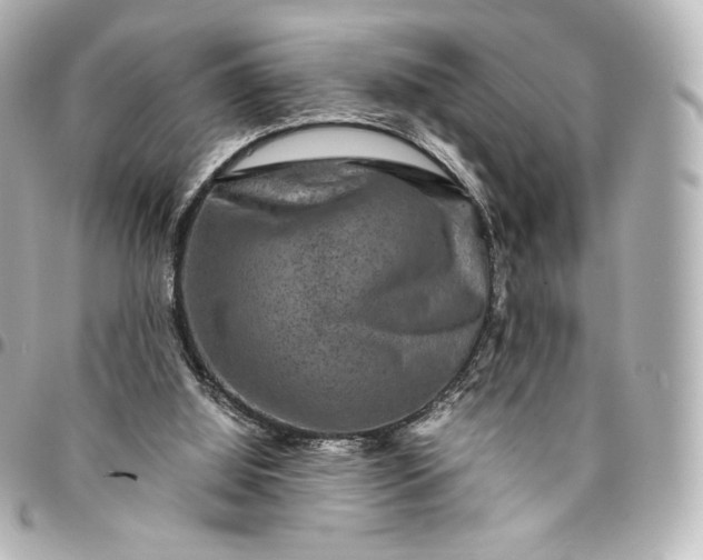 X0000095540060200712281553