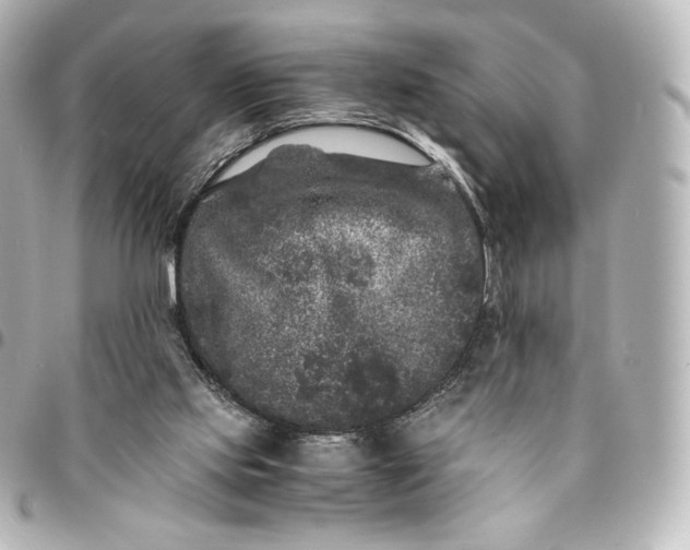 X0000095540061200712281553