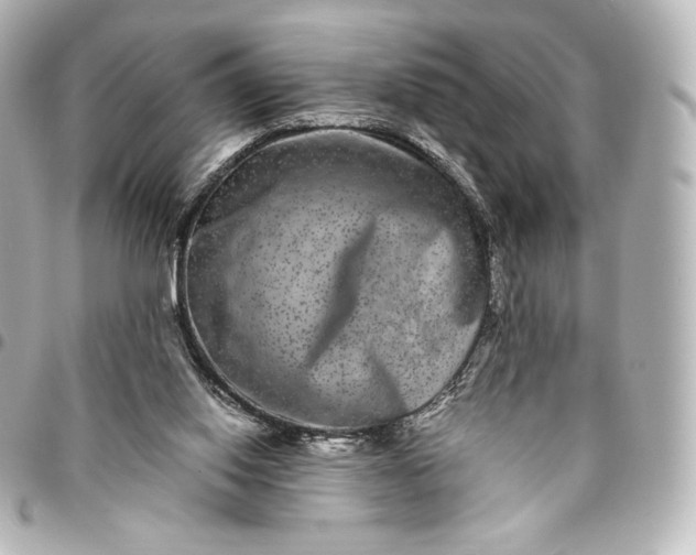 X0000095540062200712281553