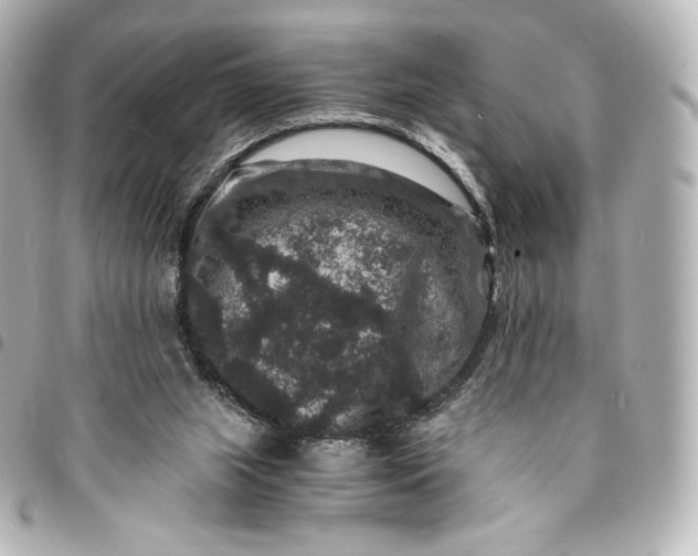 X0000095540063200712281553