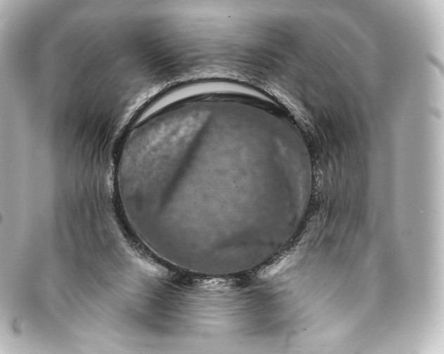 X0000095540064200712281553