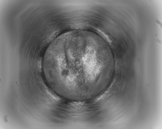 X0000095540065200712281553