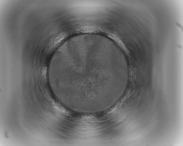 X0000095540066200712281553