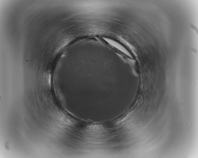 X0000095540067200712281553