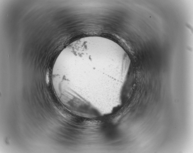 X0000095540069200712281553