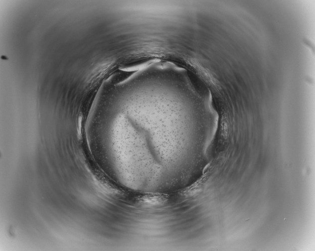 X0000095540070200712281553