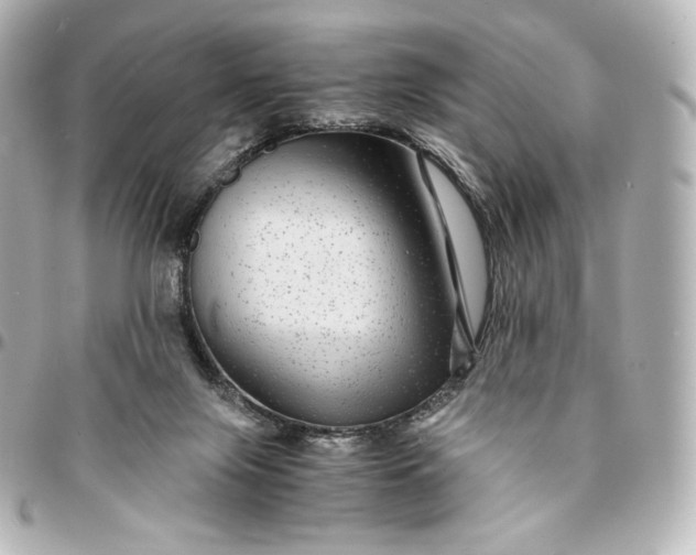 X0000095540071200712281553