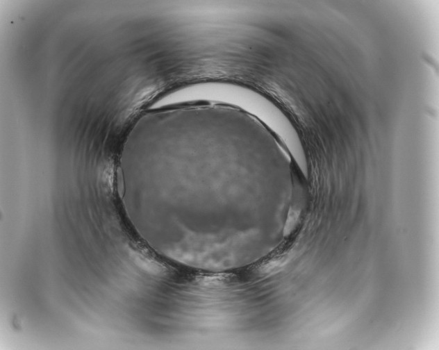 X0000095540072200712281553