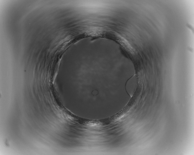 X0000095540073200712281553