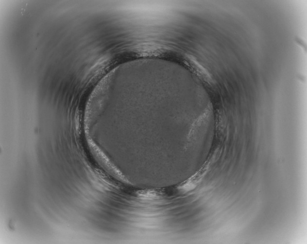 X0000095540074200712281553