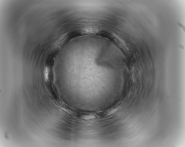 X0000095540075200712281553