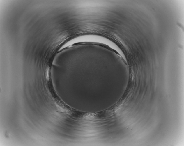 X0000095540076200712281553