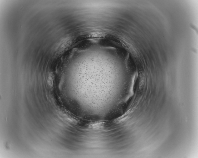 X0000095540078200712281553