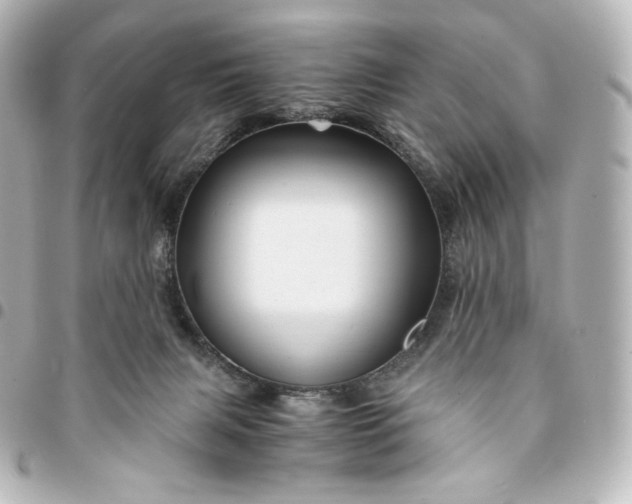 X0000095540079200712281553