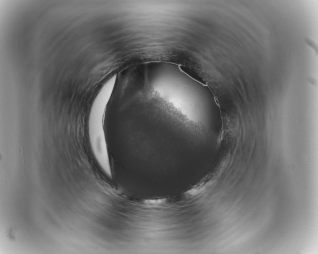 X0000095540080200712281553