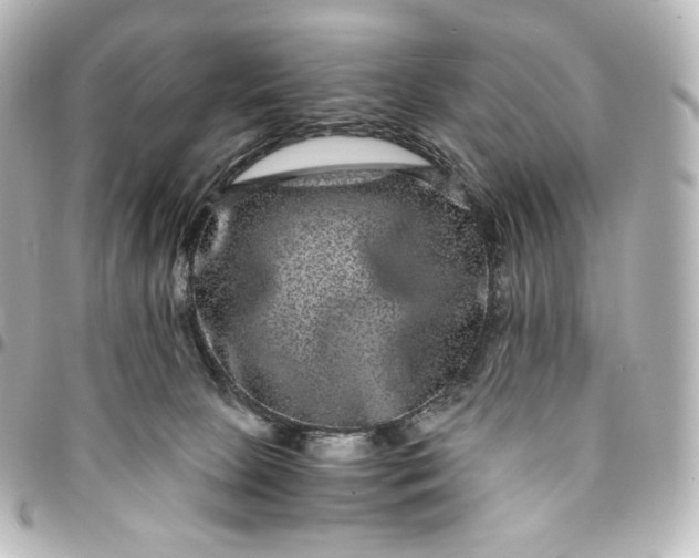 X0000095540081200712281553