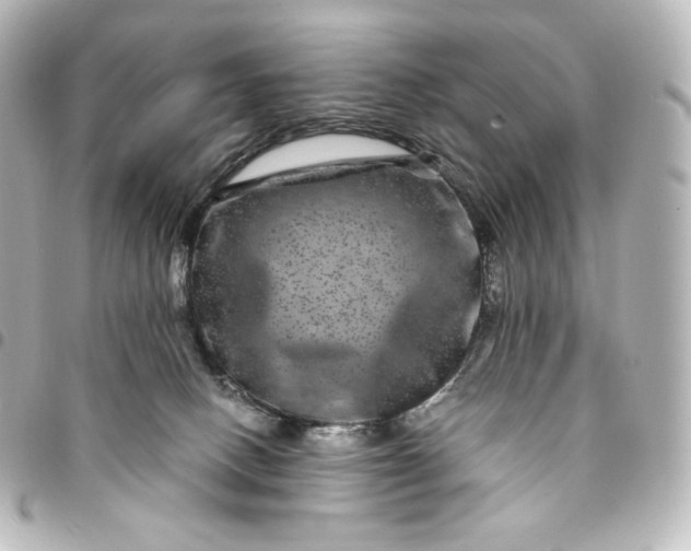 X0000095540082200712281553