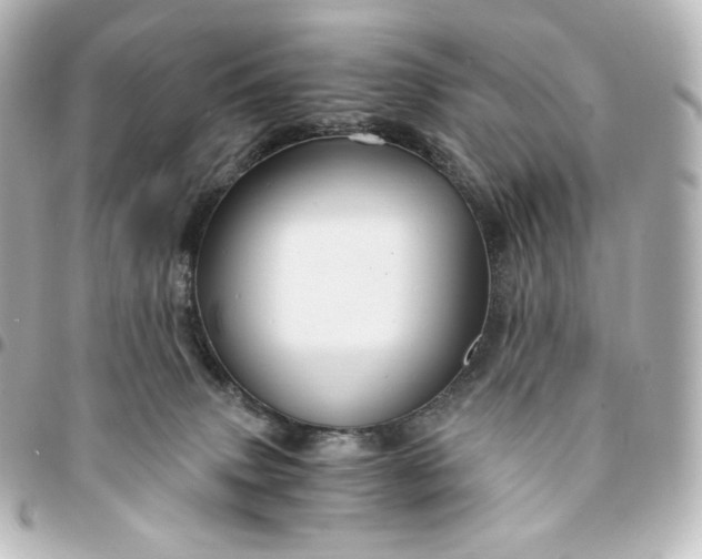 X0000095540083200712281553