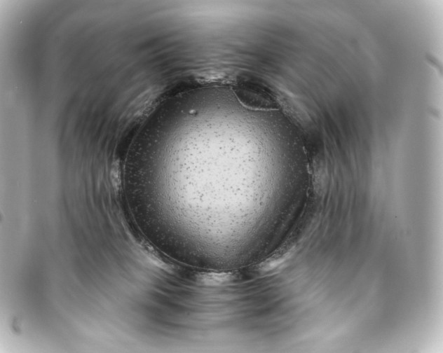 X0000095540085200712281554