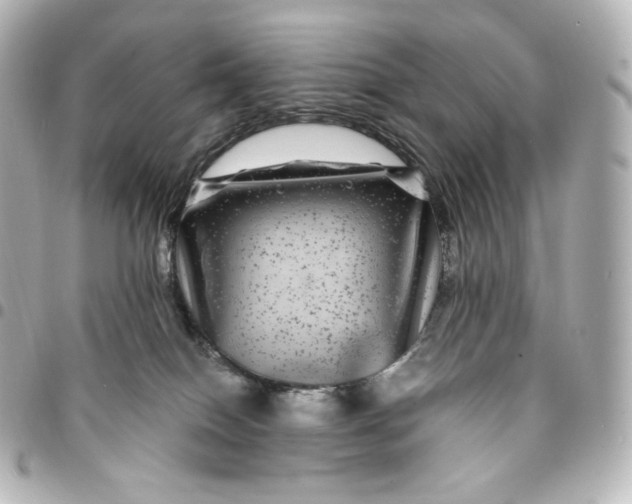 X0000095540086200712281554