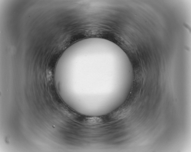 X0000095540087200712281554