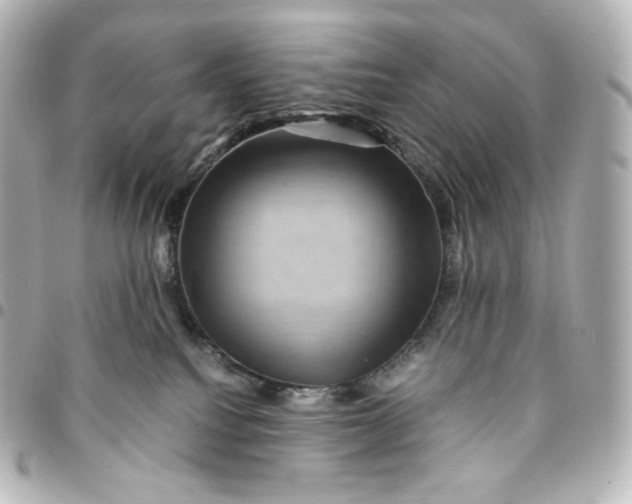 X0000095540088200712281554