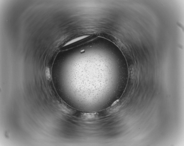 X0000095540089200712281554