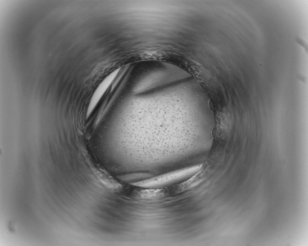 X0000095540090200712281554