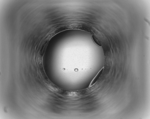 X0000095540091200712281554