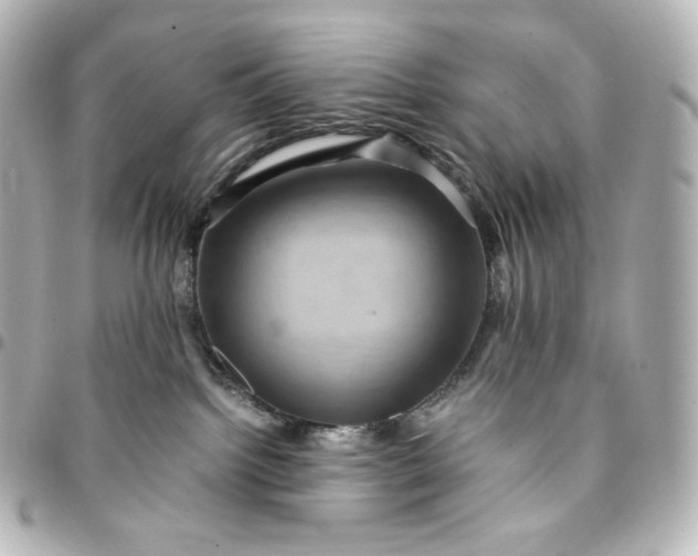 X0000095540092200712281554