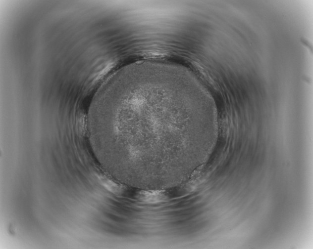 X0000095540093200712281554