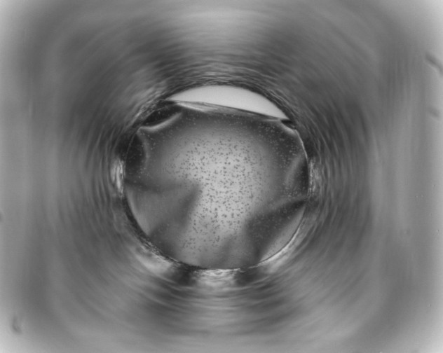 X0000095540094200712281554