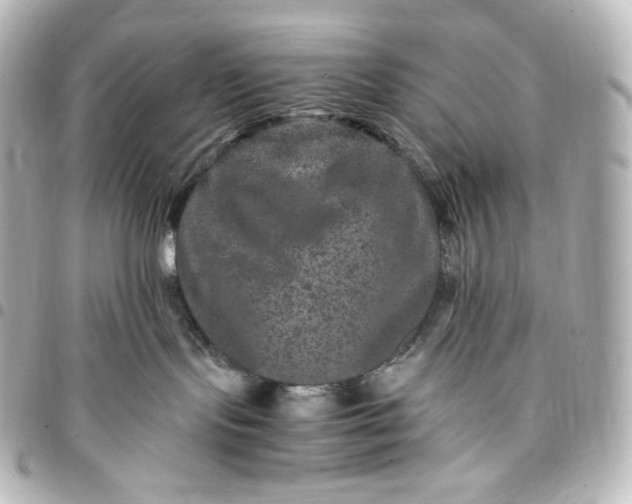 X0000095540095200712281554