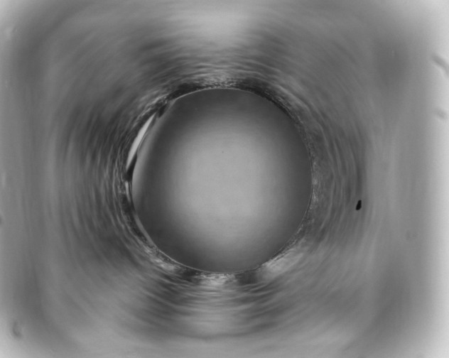 X0000095540096200712281554