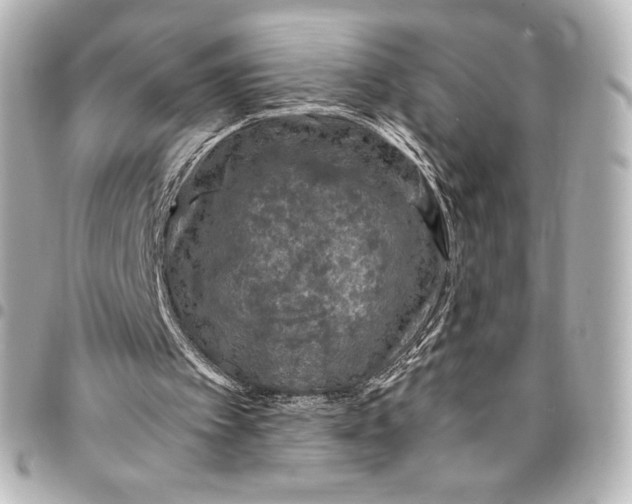 X0000095540097200712281553