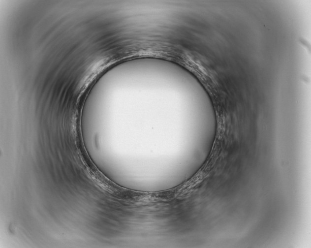 X0000095540098200712281553