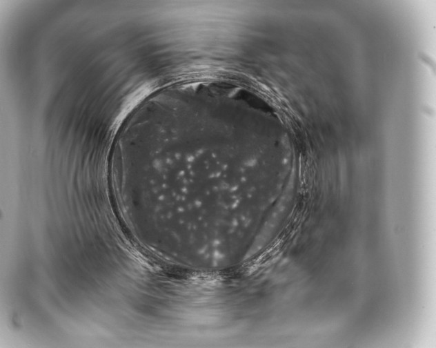 X0000095540099200712281553