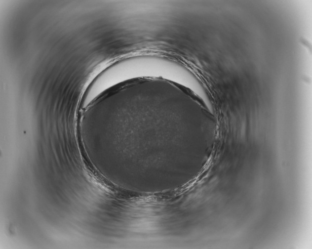 X0000095540100200712281553