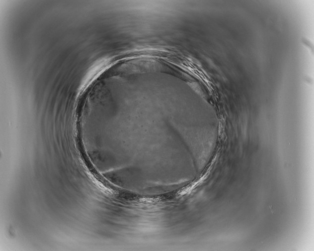 X0000095540101200712281553